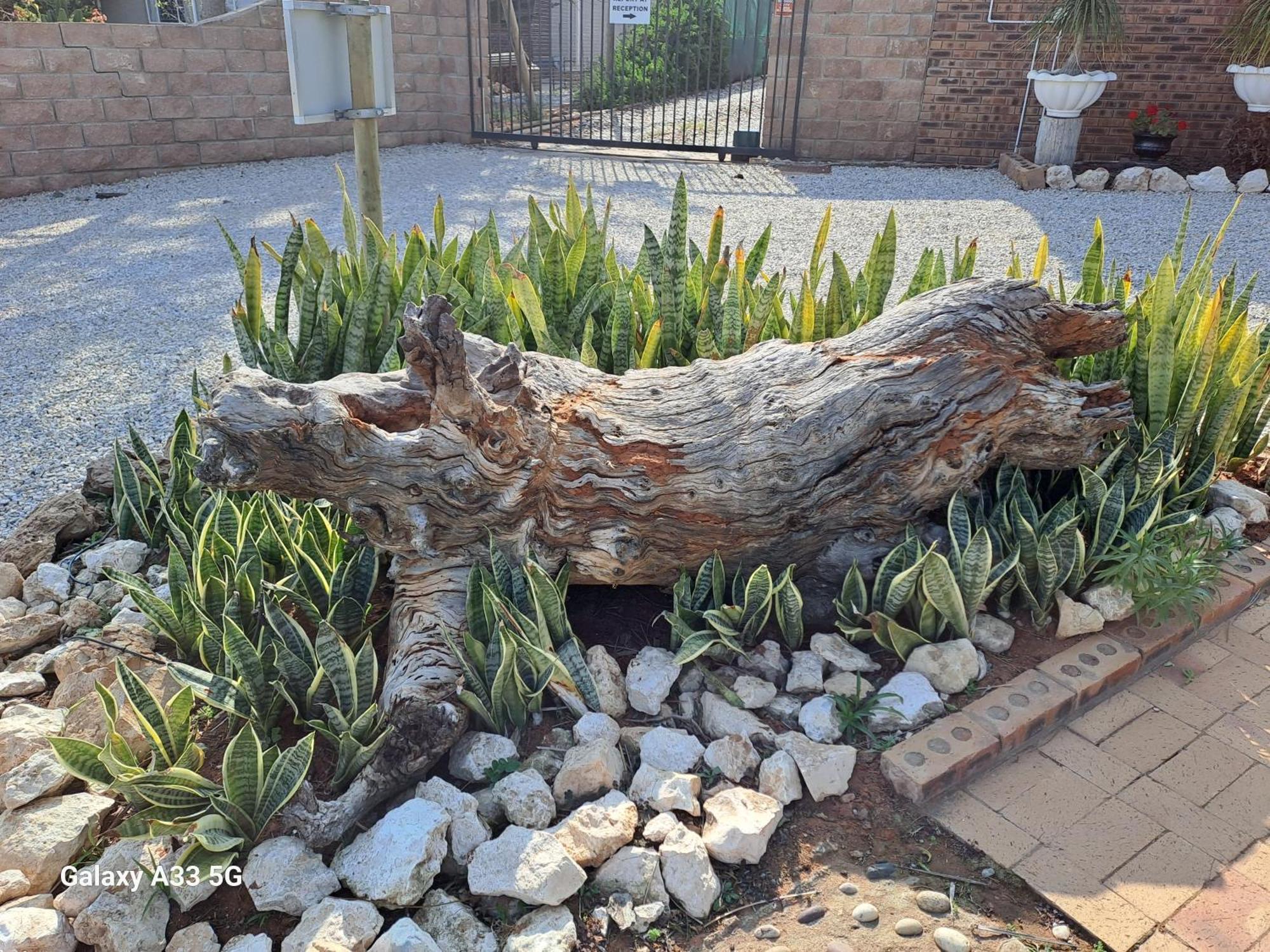 The Golden Grape B&B Lutzville Luaran gambar